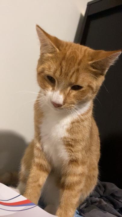 Vicente Torrez Vicente