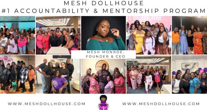 Mesh Dollhouse 