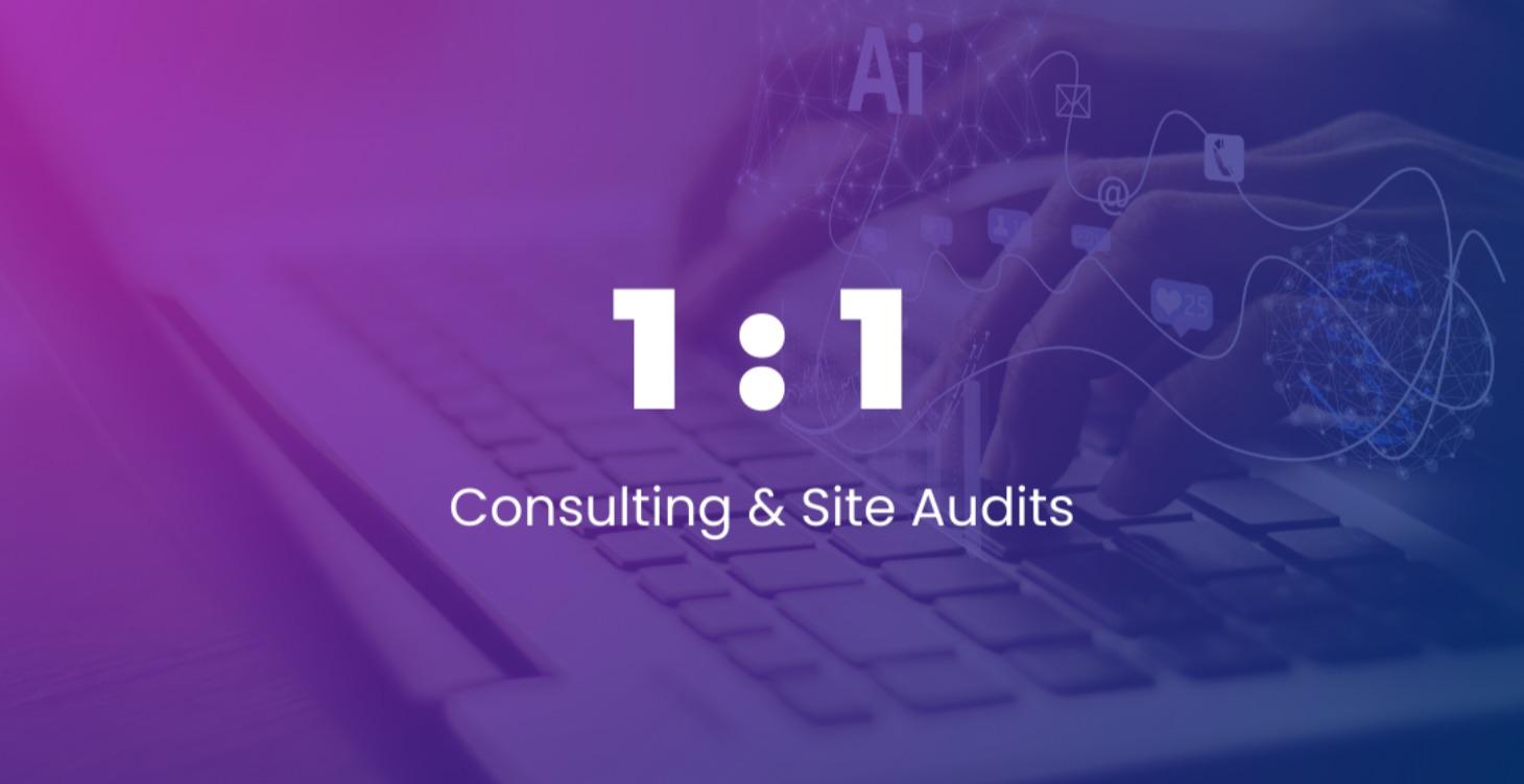 1:1 Consulting & Site Audits