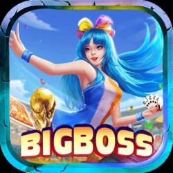 Bigboss Nd shop