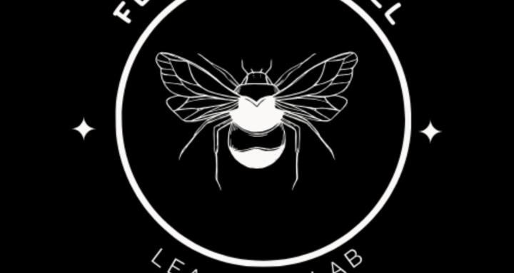 Fly on the Wall