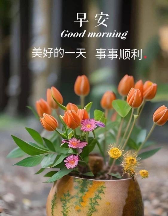 Lok Mei ling