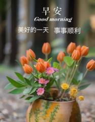 Lok Mei ling