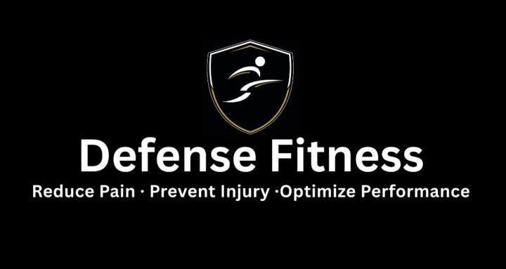 Defense Fitness 