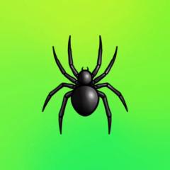 Spider Sexy
