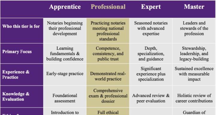 AGNP Professional Pipeline