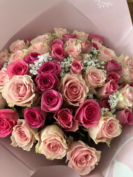 Houda H.