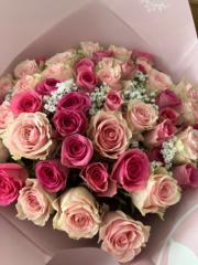 Houda H.