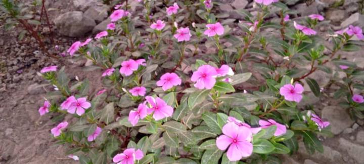 Adding a bit of colour 