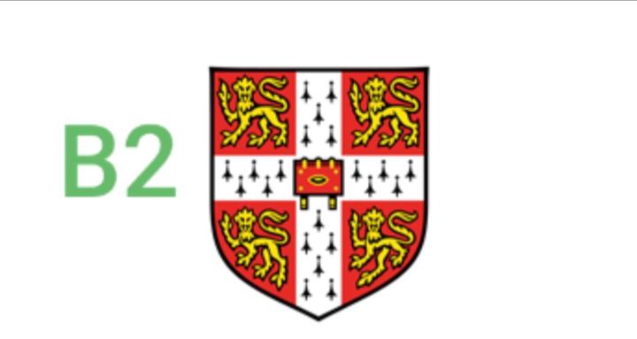 Smart Academy (CAMBRIDGE B2)