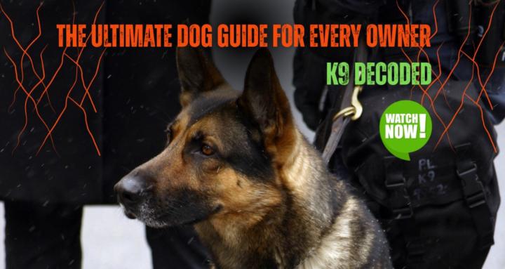 K9 Decoded