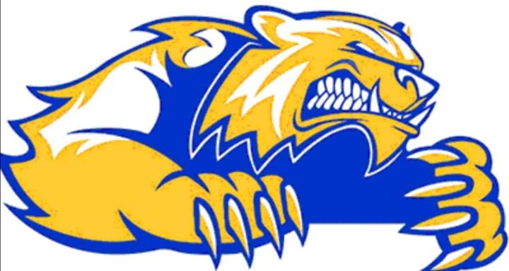 Blue Machine Credit Strong