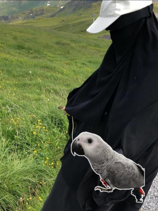 Huda Alharbi
