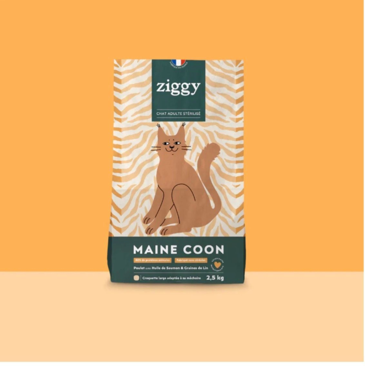 Inspire ton branding : ziggy