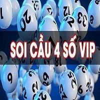 Soi Cau Vip  So