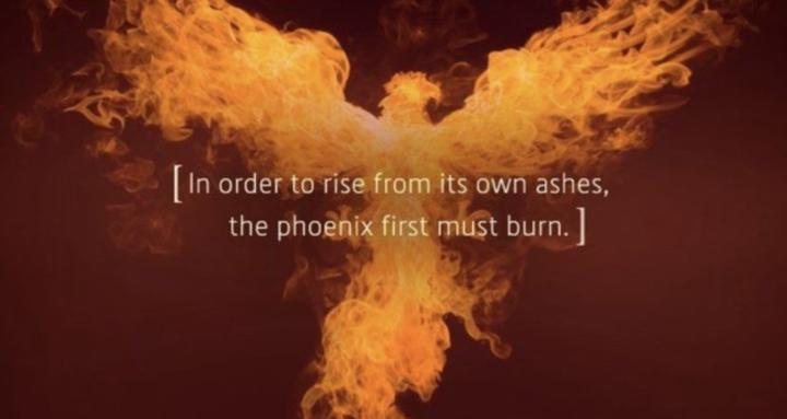 The Phoenix Project