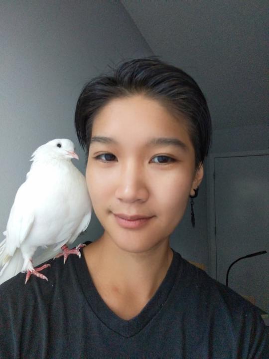 Vince Hua