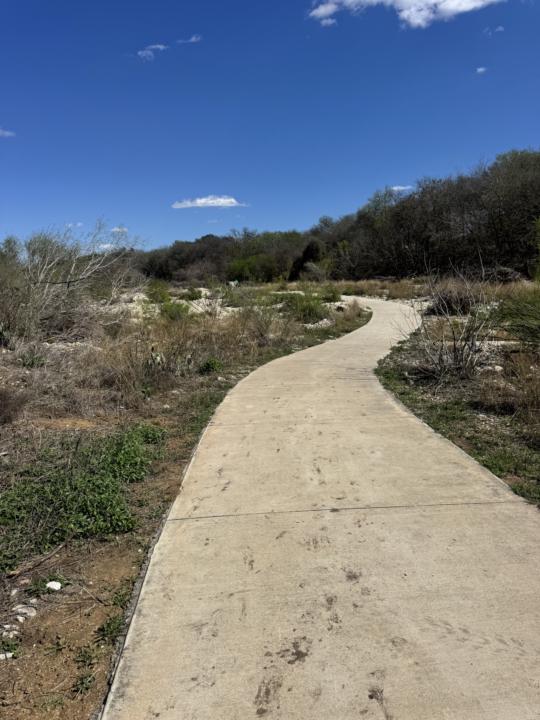Getting my Steps !!!