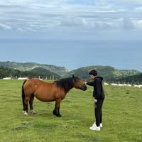 Juan david Abril garcia