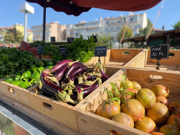 Bahçeden Manava, Manavdan Sofraya: Fatih’te İlaçsız Tarım Ürünleri