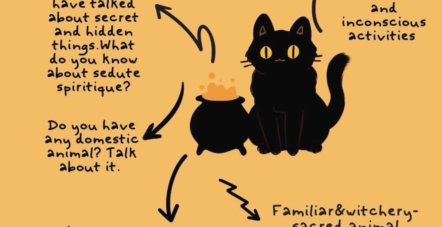 Black cats path course