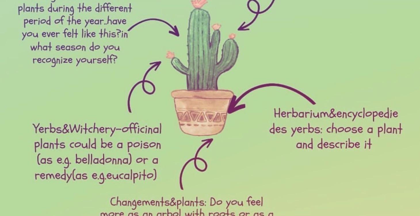 Botanic path course:
