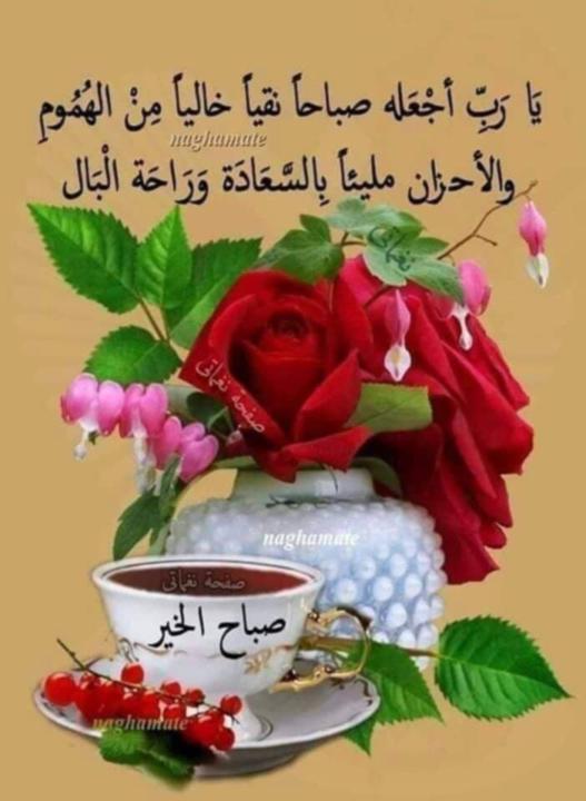 Abdelbasset Dabdoubi