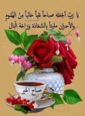 Abdelbasset Dabdoubi