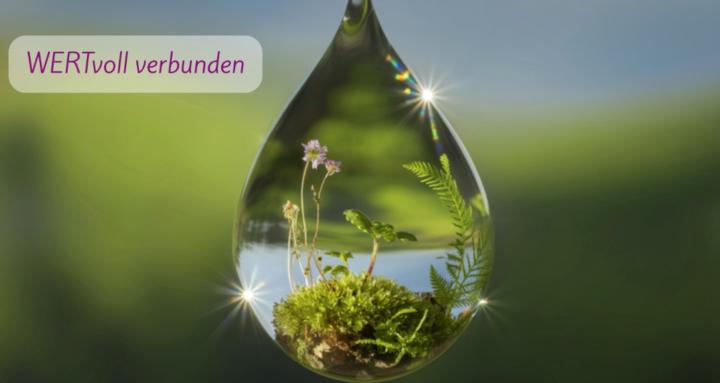 WERTvoll verbunden