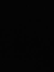 Jacob hibberd Hibberd