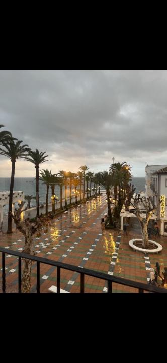 Alexander Adler Lauritzen