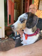 Michelle Schindehutte