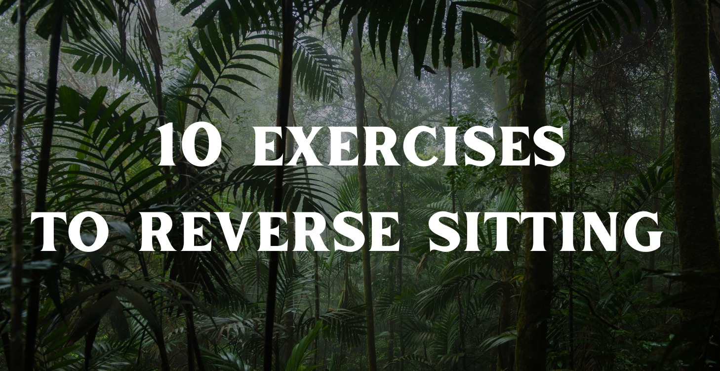 10 Exercises To Reverse Sitting