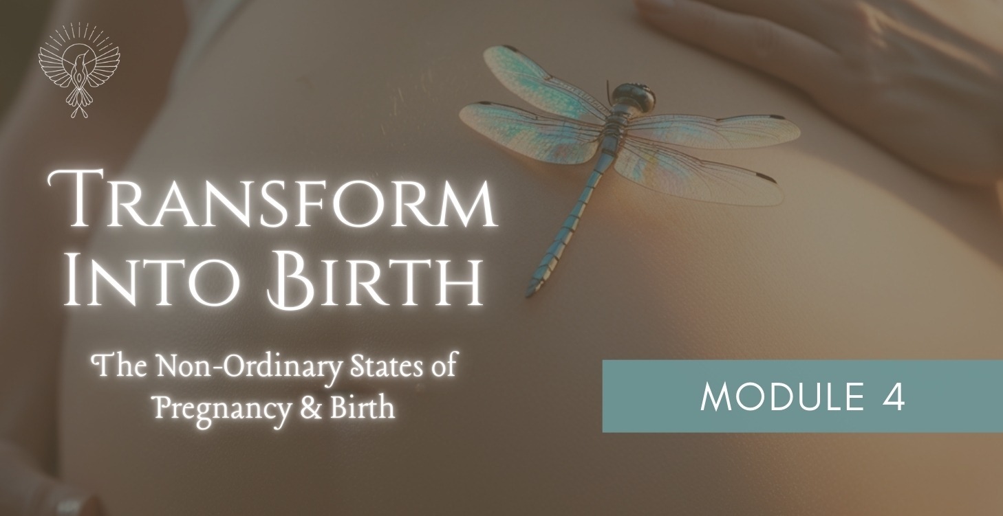 Module 4: Non-Ordinary States of Pregnancy & Birth