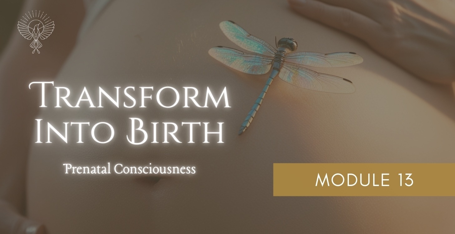 Module 13: Prenatal Consciousness