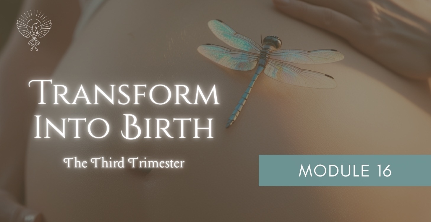 Module 16: The Third Trimester