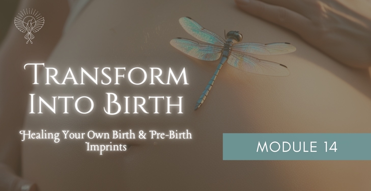 Module 14: Epigenetic's and Your Birth Imprints