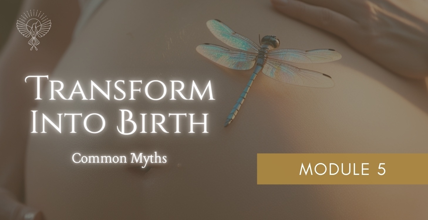 Module 5: Common Myths