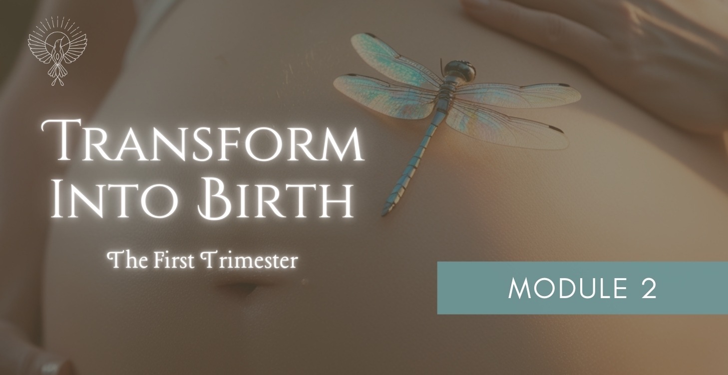 Module 2: The First Trimester