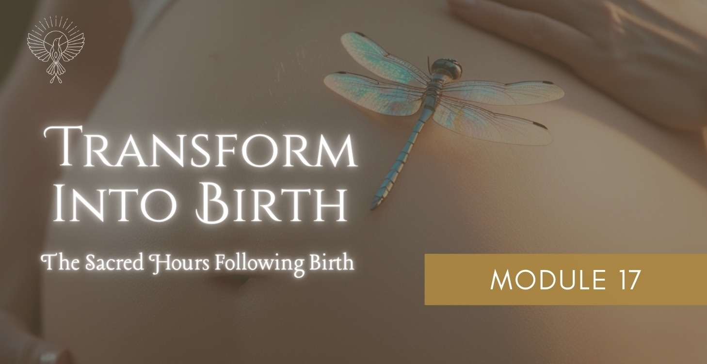 Module 17: The Sacred Hours Following Birth