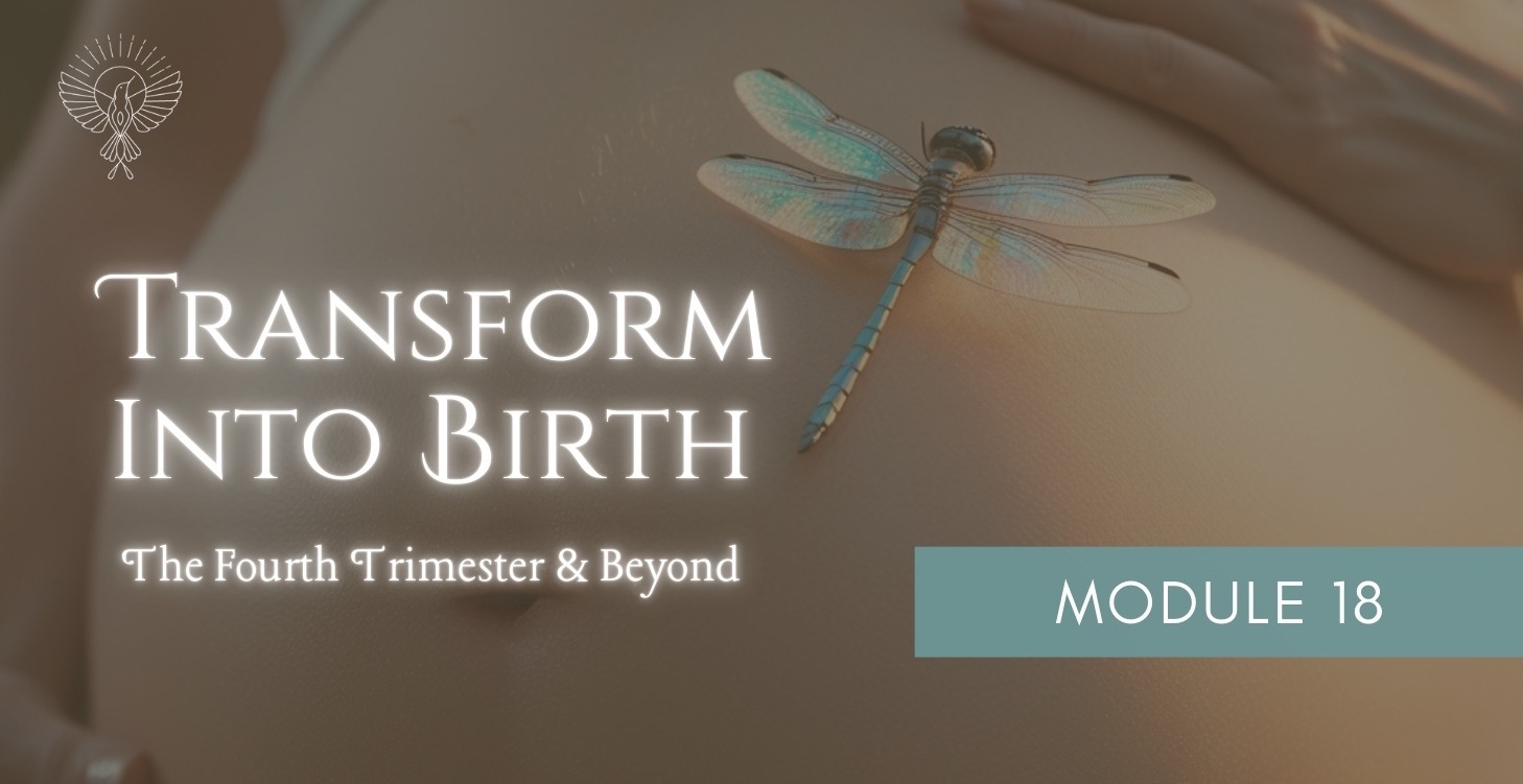 Module 18: The Fourth Trimester & Beyond