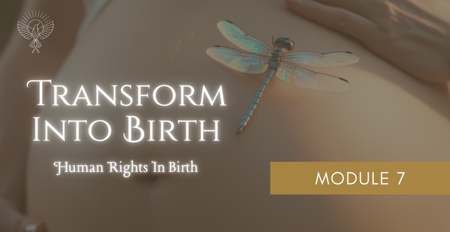 Module 7: Human Rights In Birth