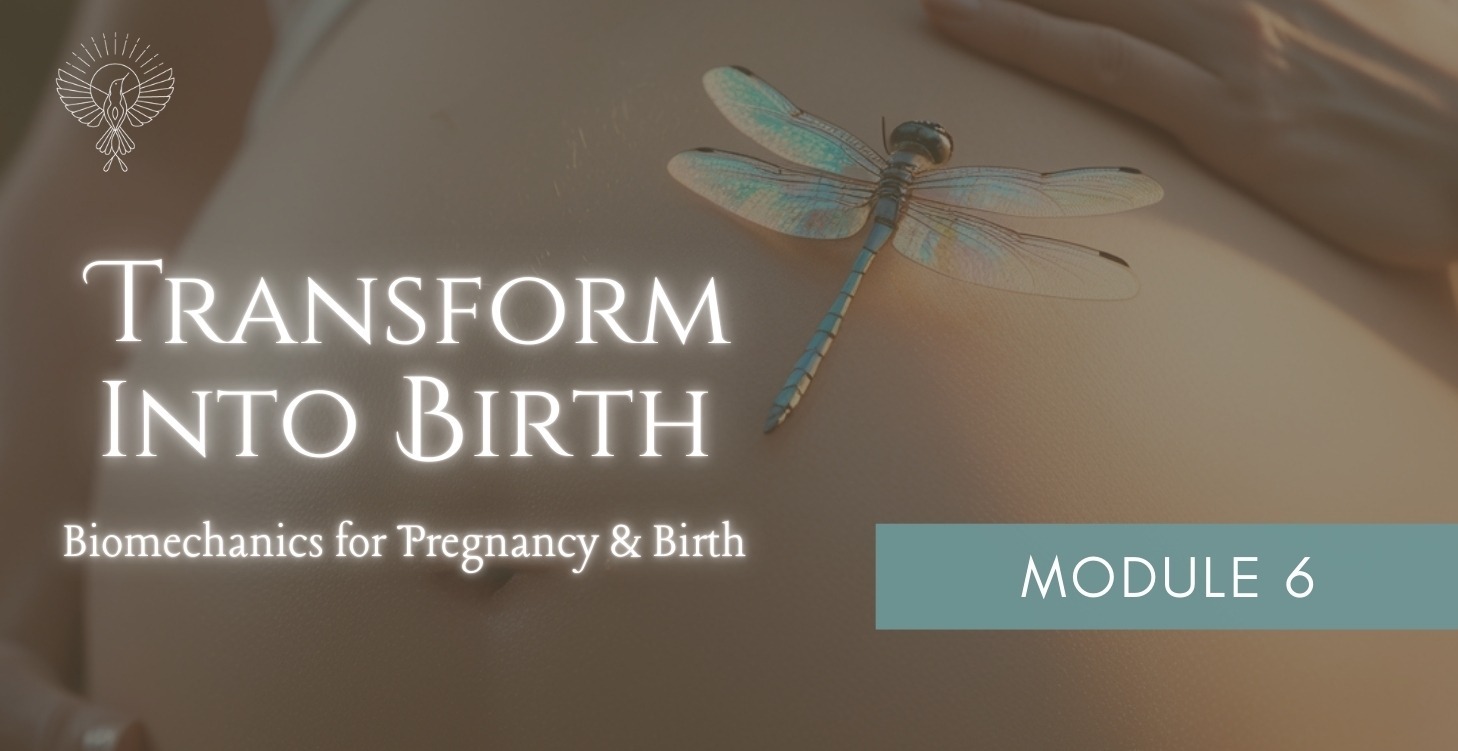 Module 6: Biomechanics of Pregnancy & Birth