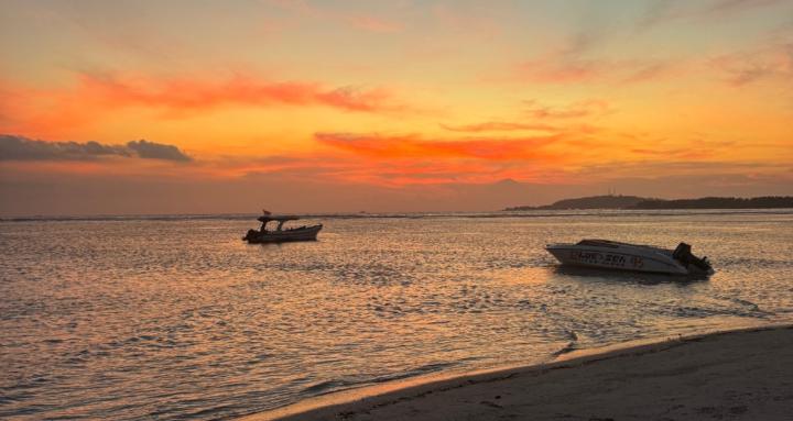 She Roams Freely Community