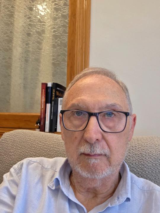 Enrique Grau Sales