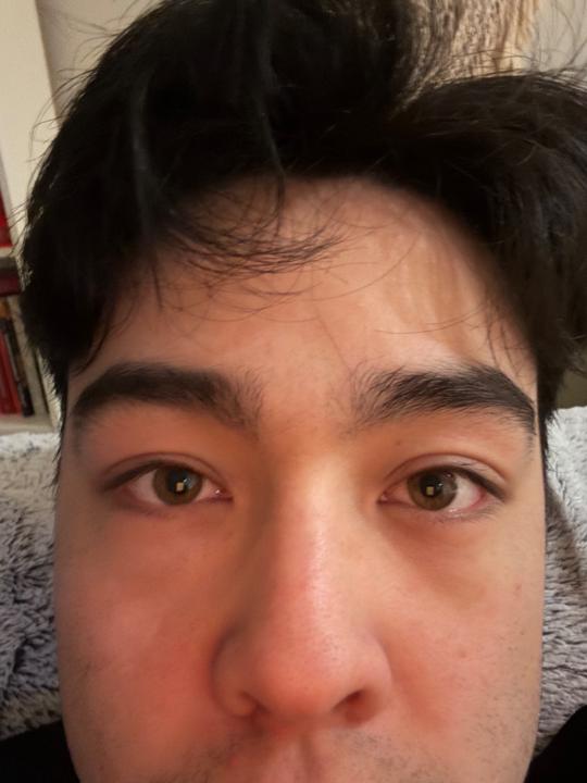 Seth Ho