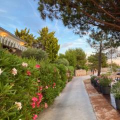 Natalie Adel Kimmich