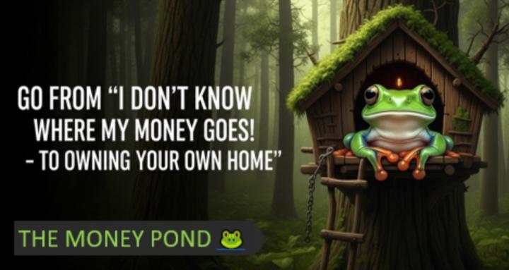 The Money Pond 🐸