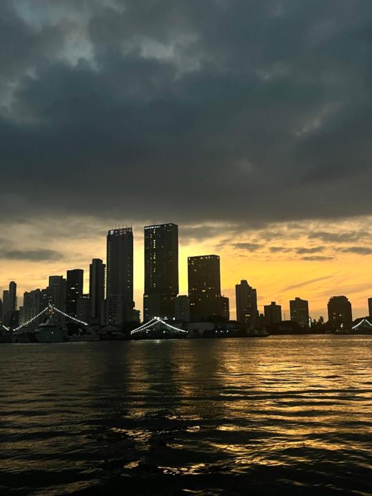 Suris y Josep Merchan