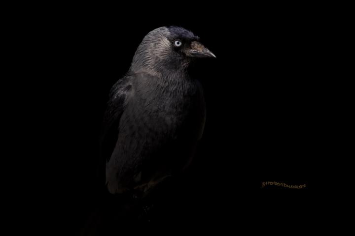 Darkness